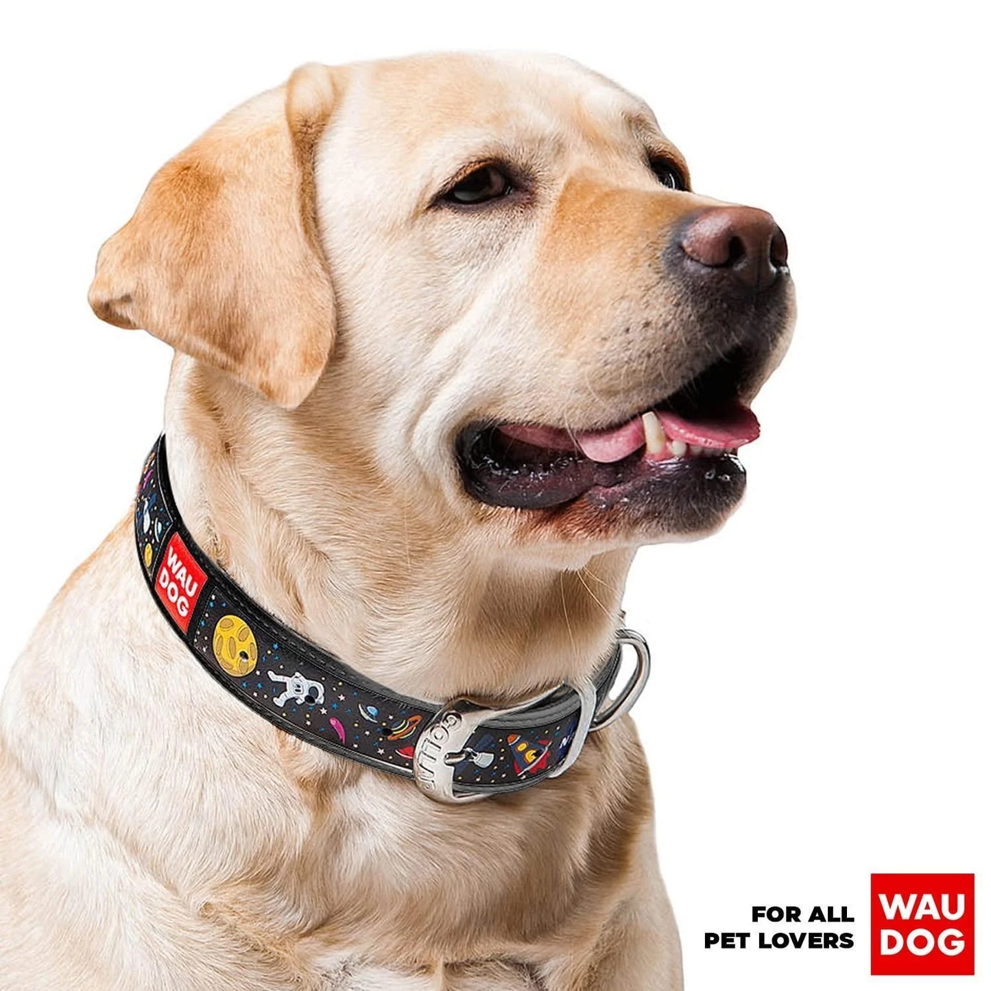 Leather Dog Collar with NASA Design for Xsmall Dogs 811 in Neck X 0.5 in Wide