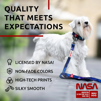 Nylon Dog Leash for Small and Medium Dogs 4 Ft X 4/5 in Wide NASA Design