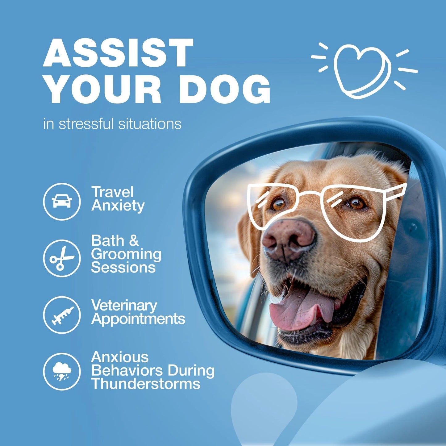 Hemp Calming Chews for Dogs Anxiety Relief for Dogs with L Theanine Chamomile